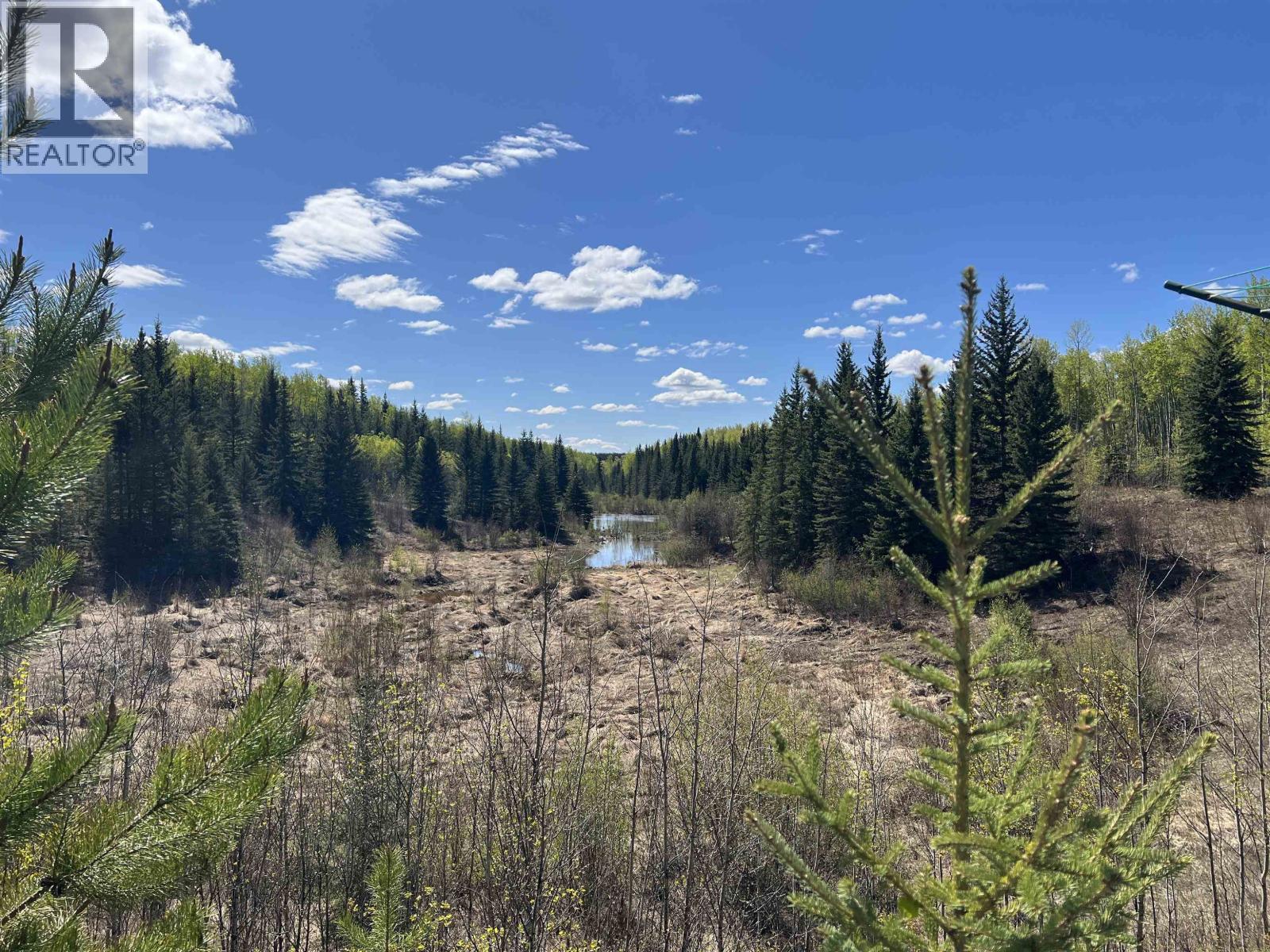 14203 217 Road Property Photo 20