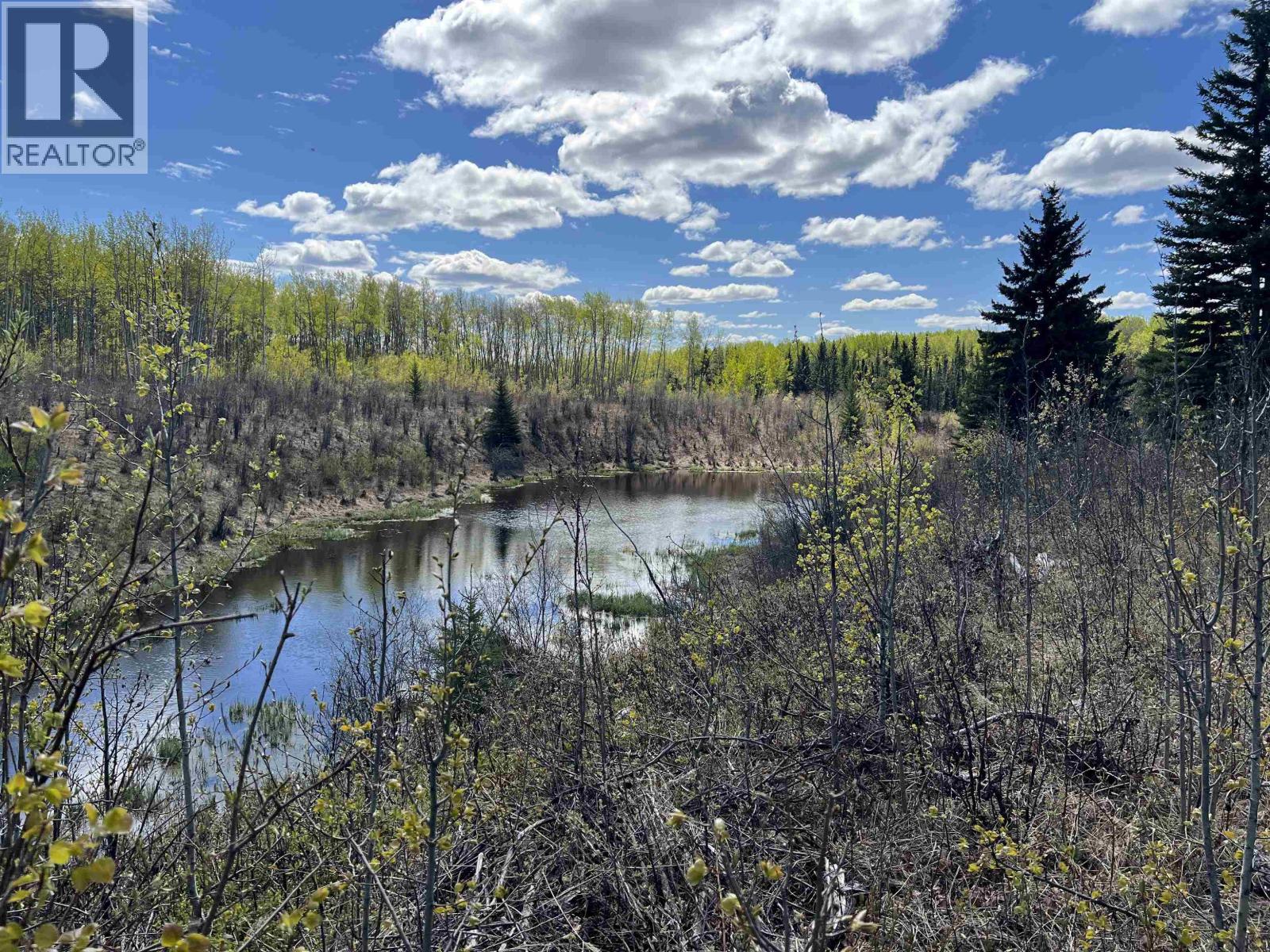 14203 217 Road Property Photo 30