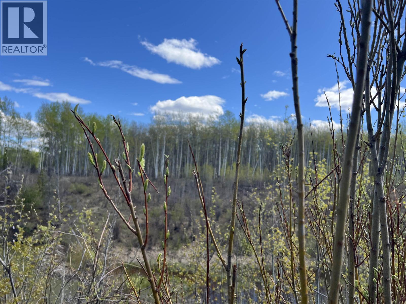 14203 217 Road Property Photo 31