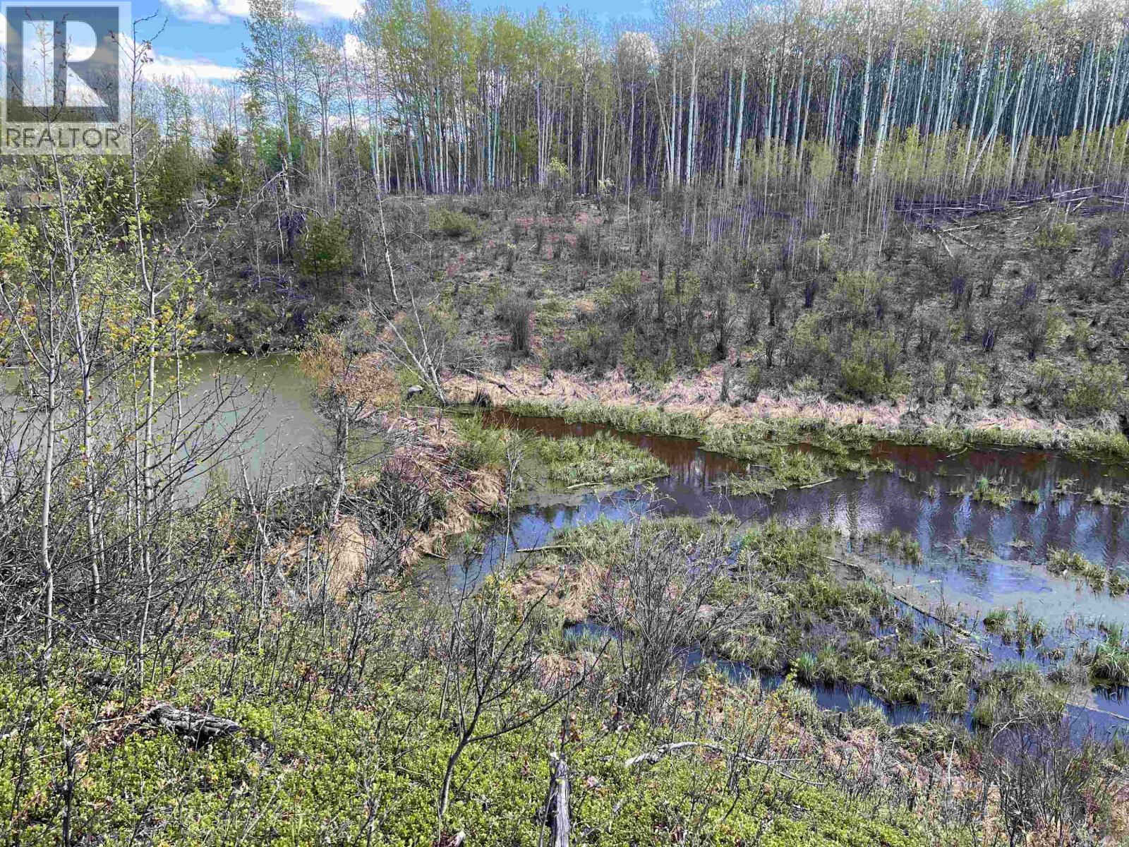 14203 217 Road Property Photo 32