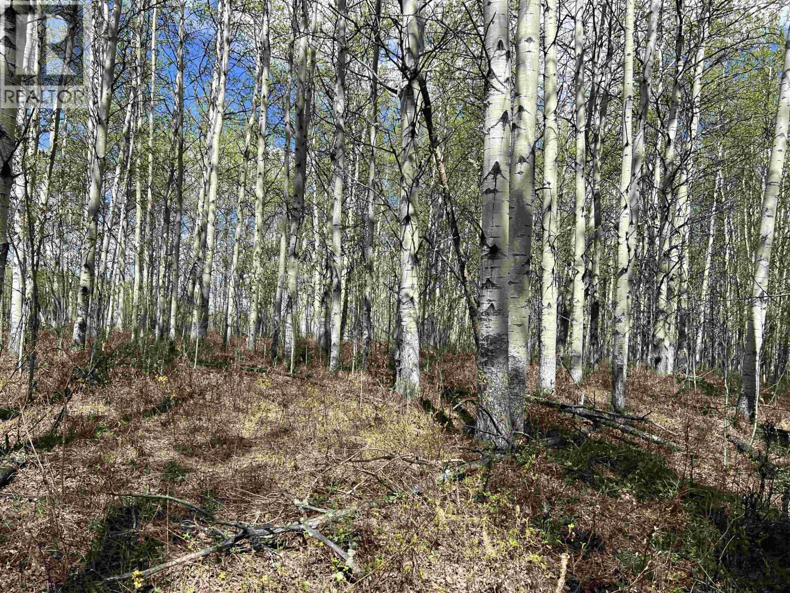 14203 217 Road Property Photo 33