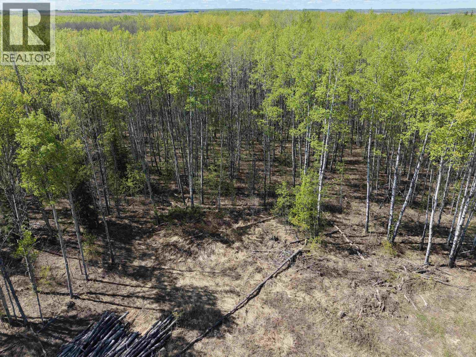 14203 217 Road Property Photo 35