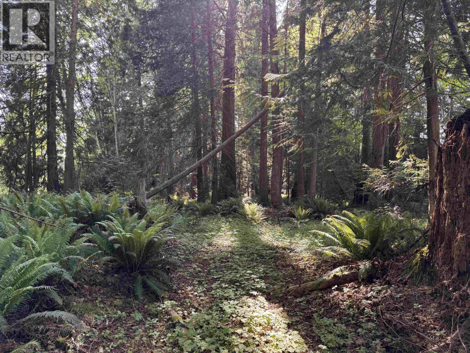 Lot A Sechelt Inlet Road Property Photo 15