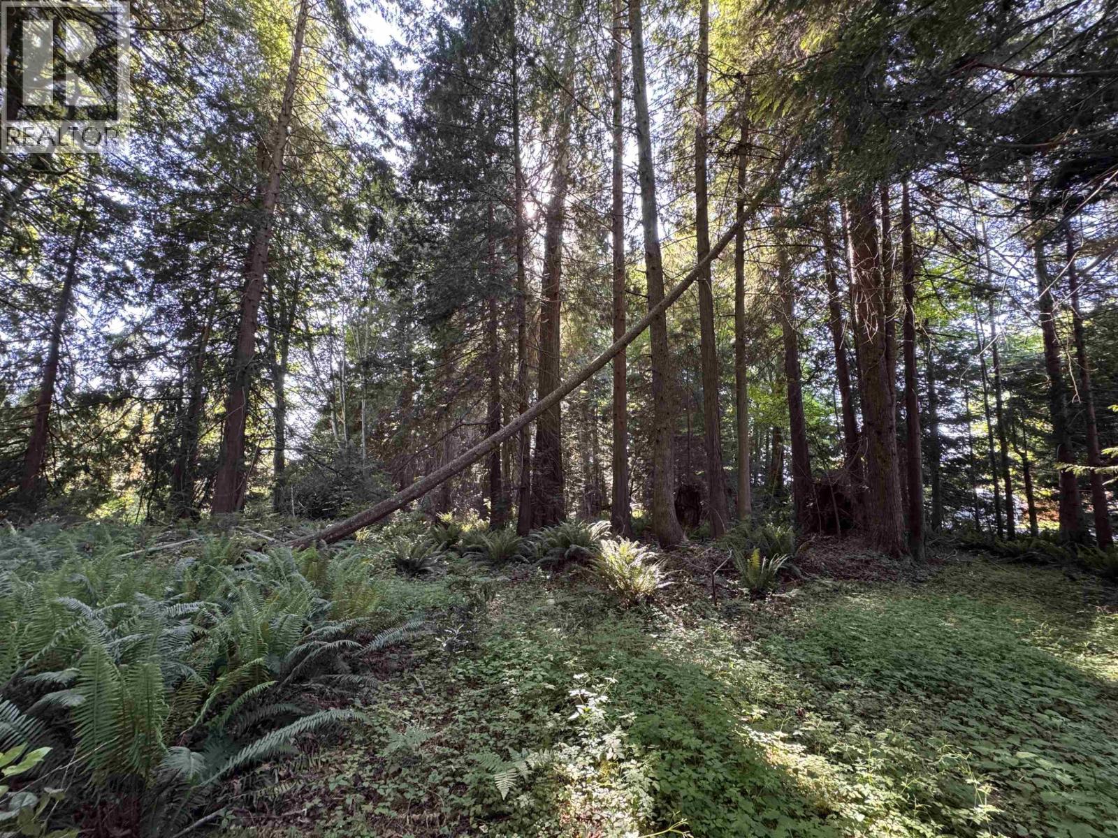 Lot A Sechelt Inlet Road Property Photo 22