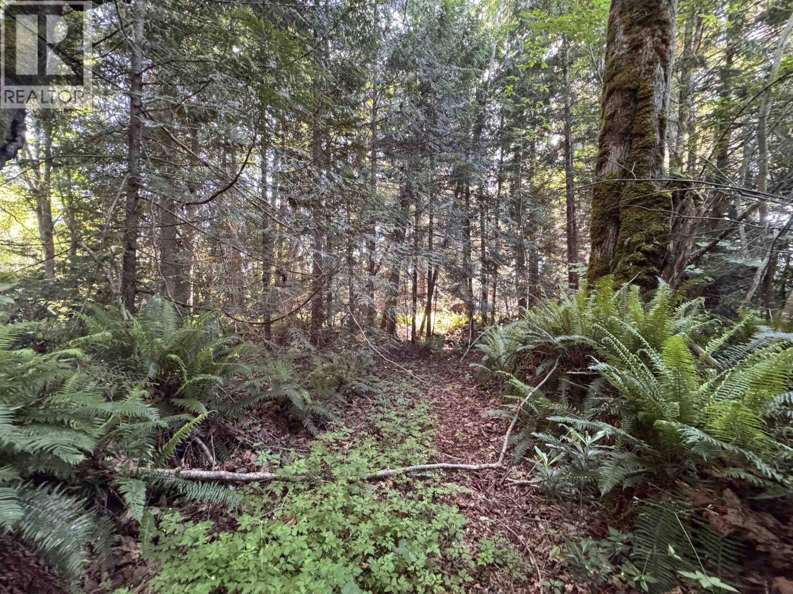 Lot A Sechelt Inlet Road Property Photo 23