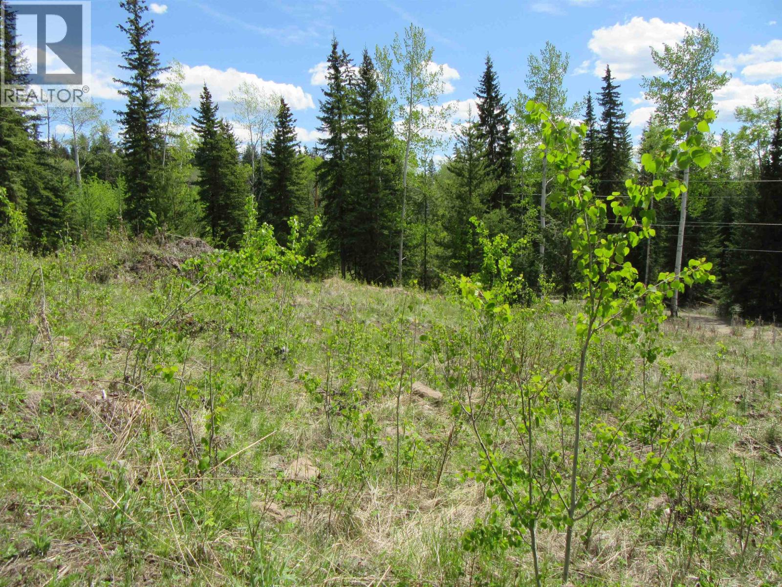 Lot 4 N Bonaparte Road Property Photo 28