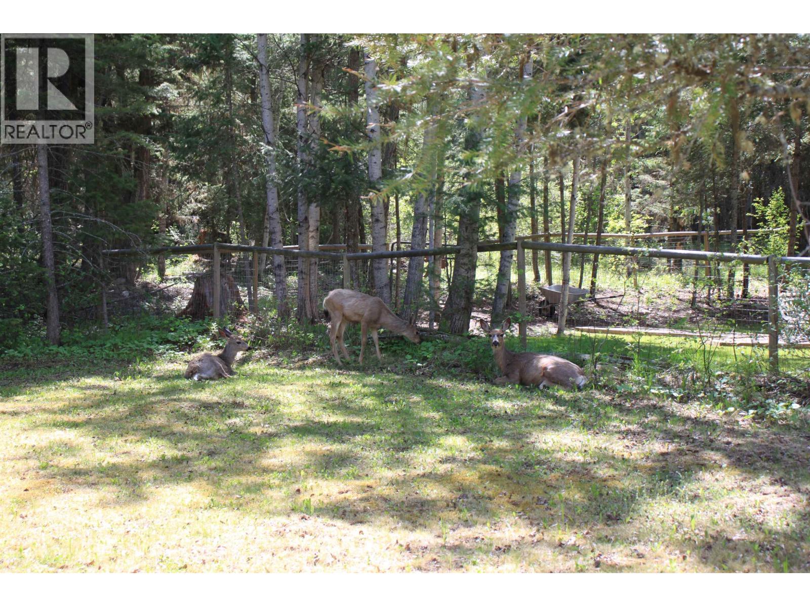 4775 Moneeyaw Road Property Photo 32