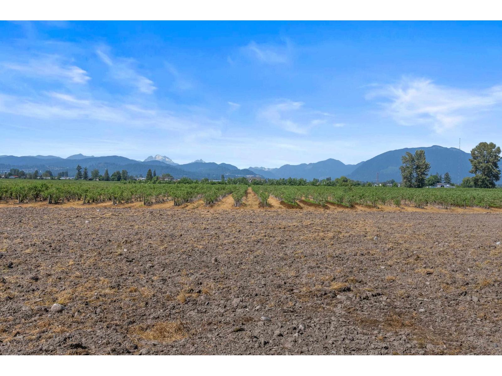 35011 Townshipline Road Property Photo 10