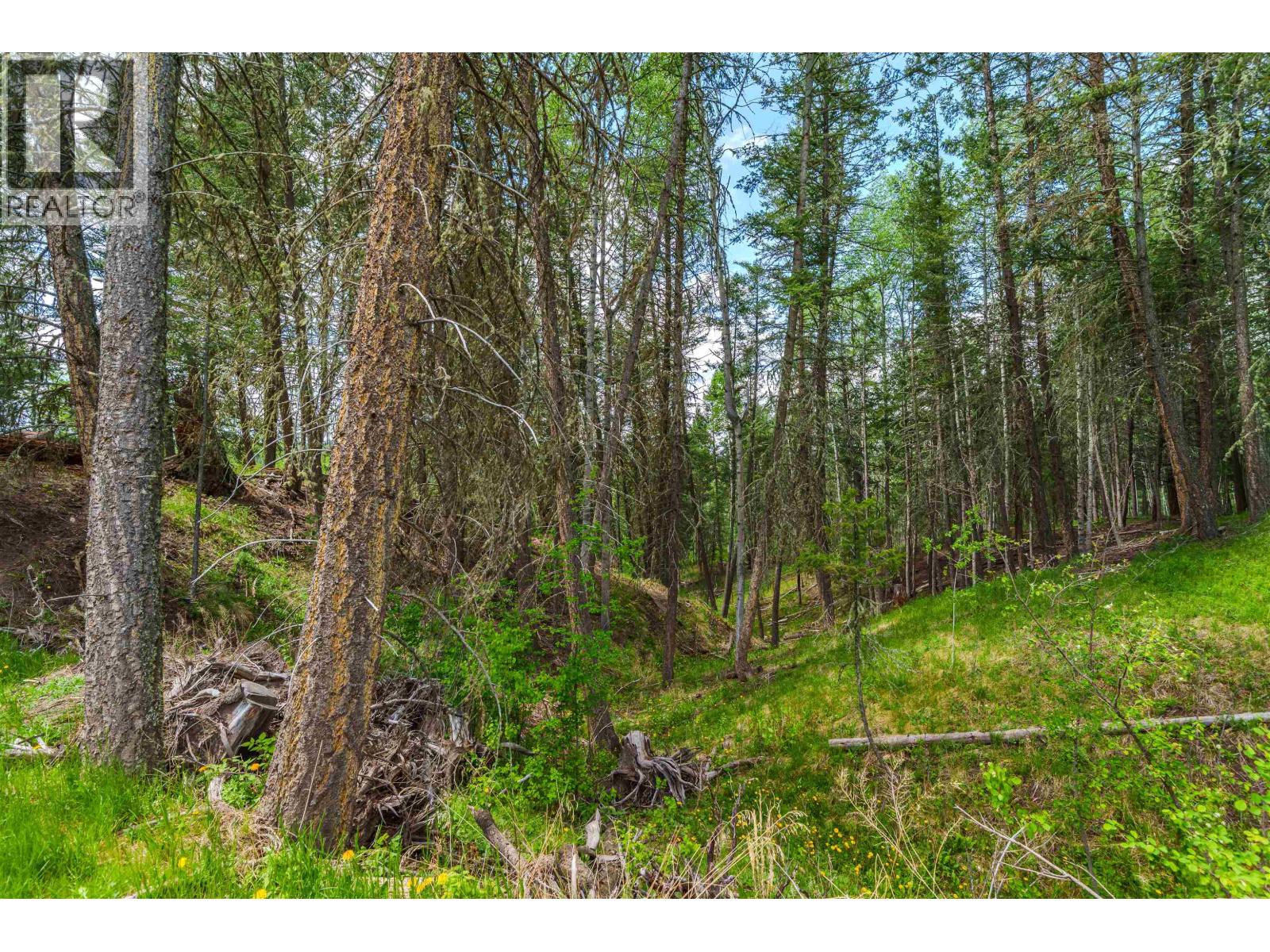 Lot 117 Block Drive Property Photo 5