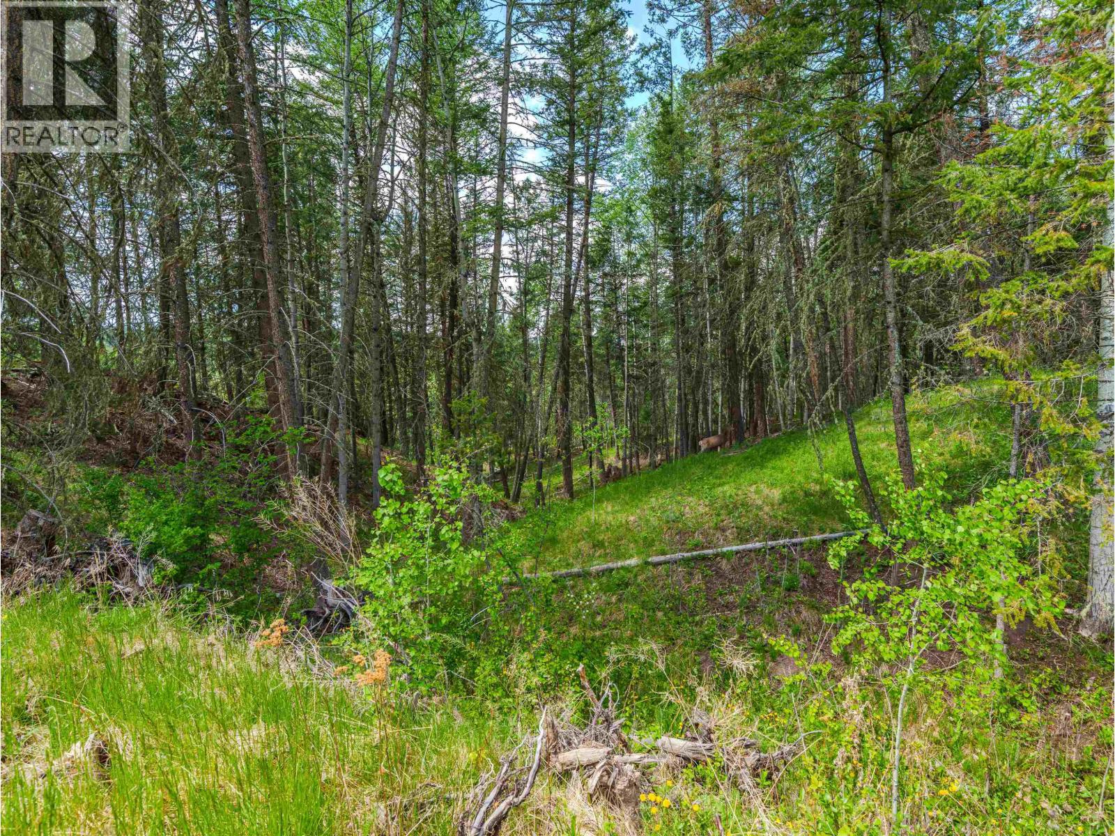 Lot 117 Block Drive Property Photo 15