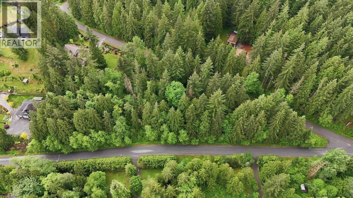 12540 Blue Mountain Crescent Property Photo 6
