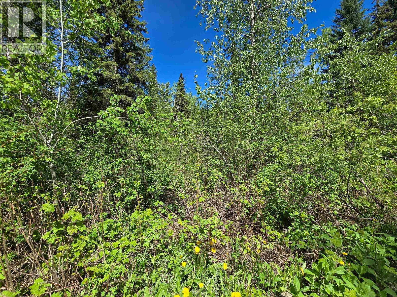 4209 Antoine Lake Road Property Photo 35