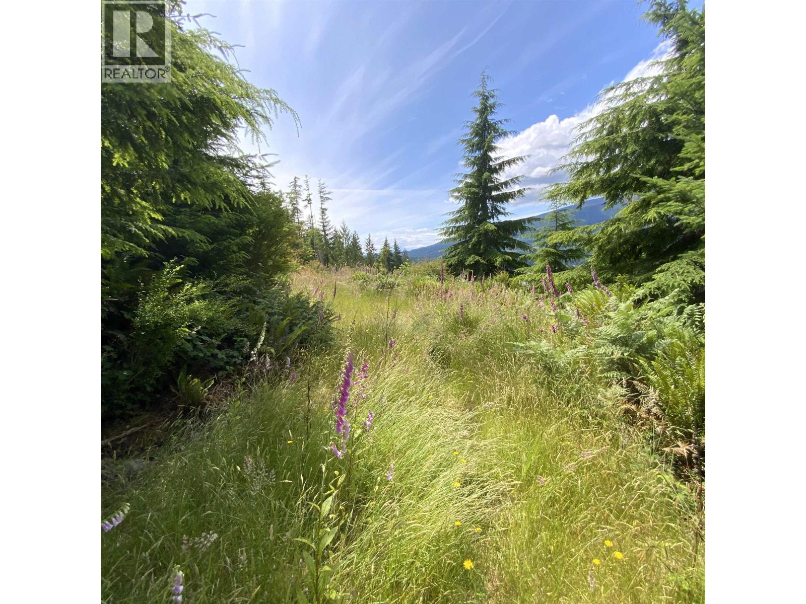 Lot J Cotton Bay Road Property Photo 12