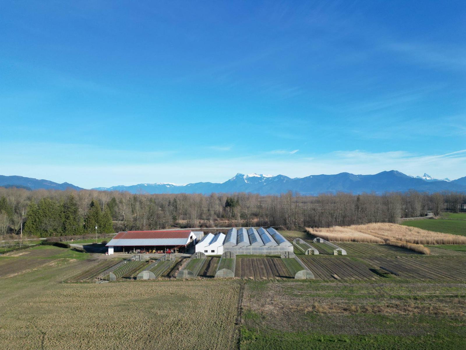 9974 Tremblay Road Property Photo 34