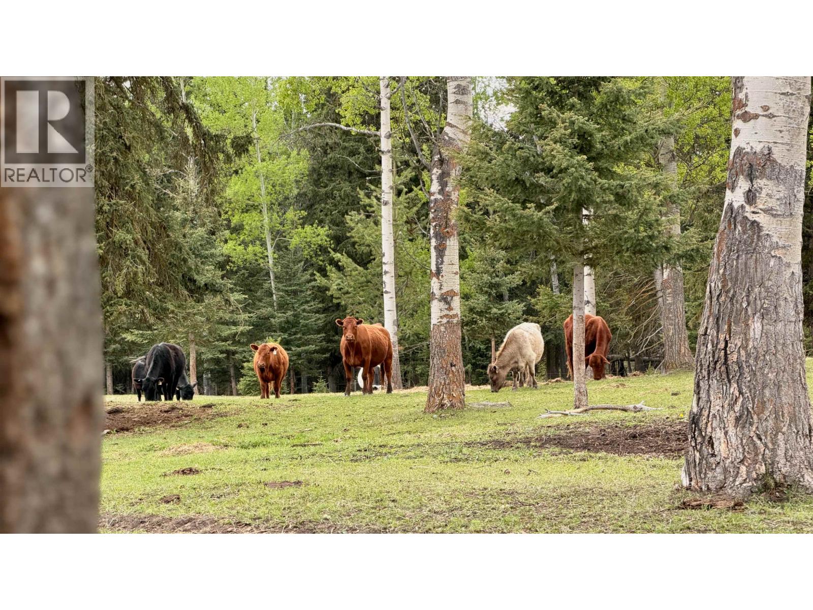 6300-6310 N Horse Lake Road Property Photo 34