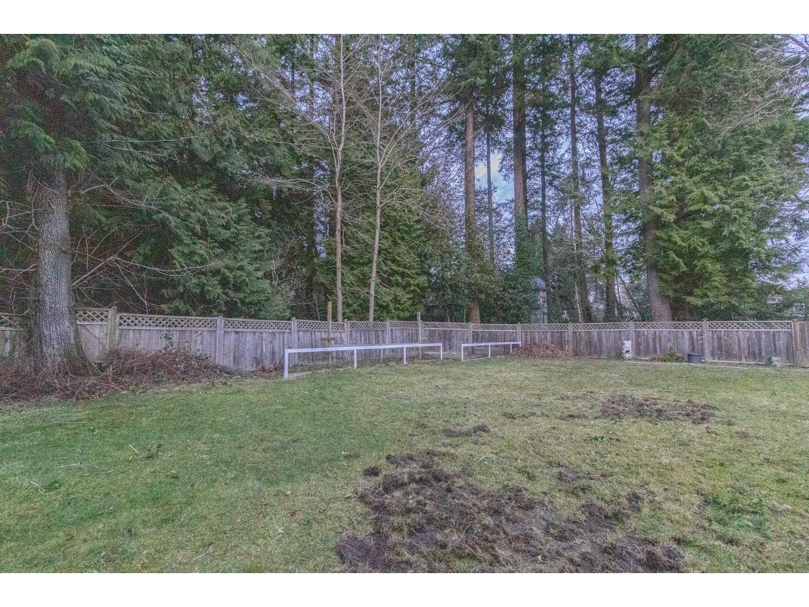 13811 17 Avenue Property Photo 8
