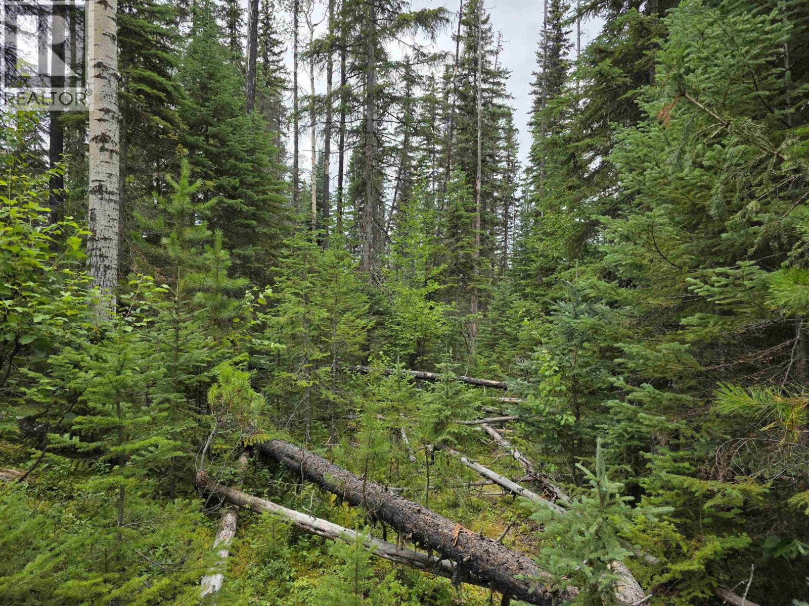 Lot 5 Bowron Lake Road Property Photo 5