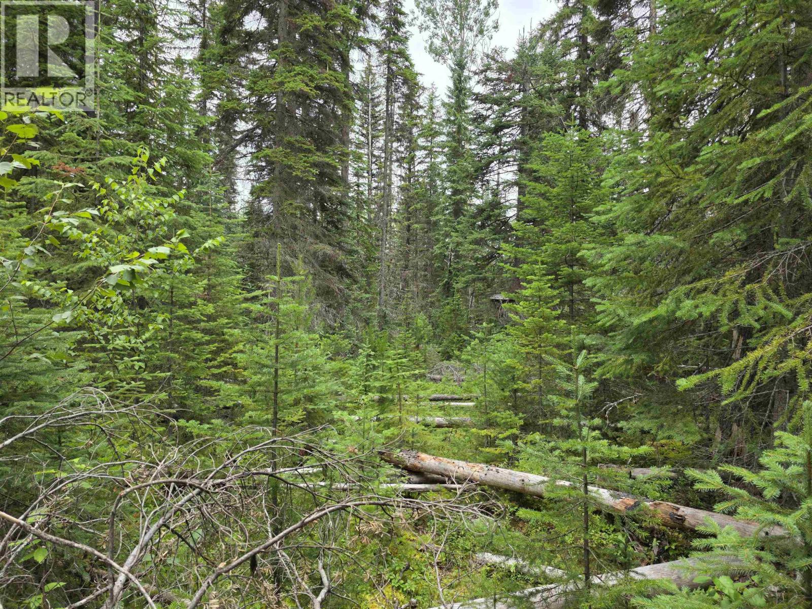 Lot 5 Bowron Lake Road Property Photo 6