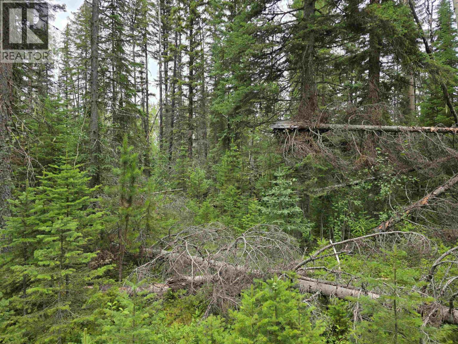 Lot 5 Bowron Lake Road Property Photo 7