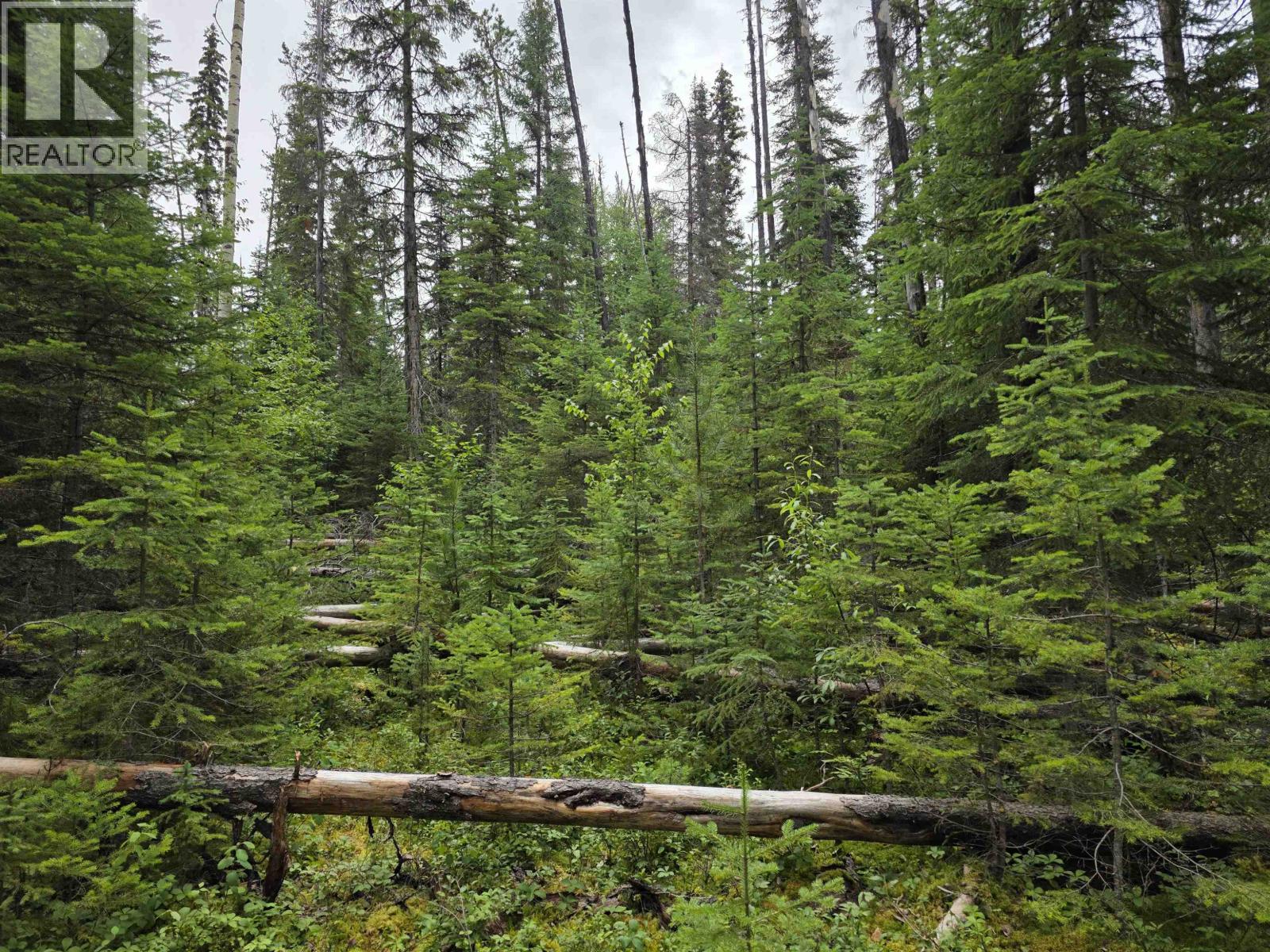 Lot 5 Bowron Lake Road Property Photo 8