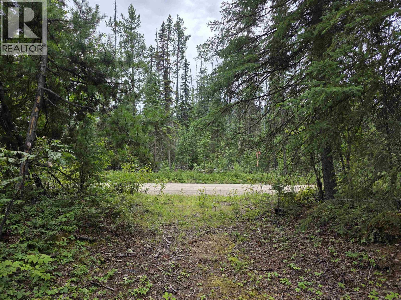 Lot 5 Bowron Lake Road Property Photo 9