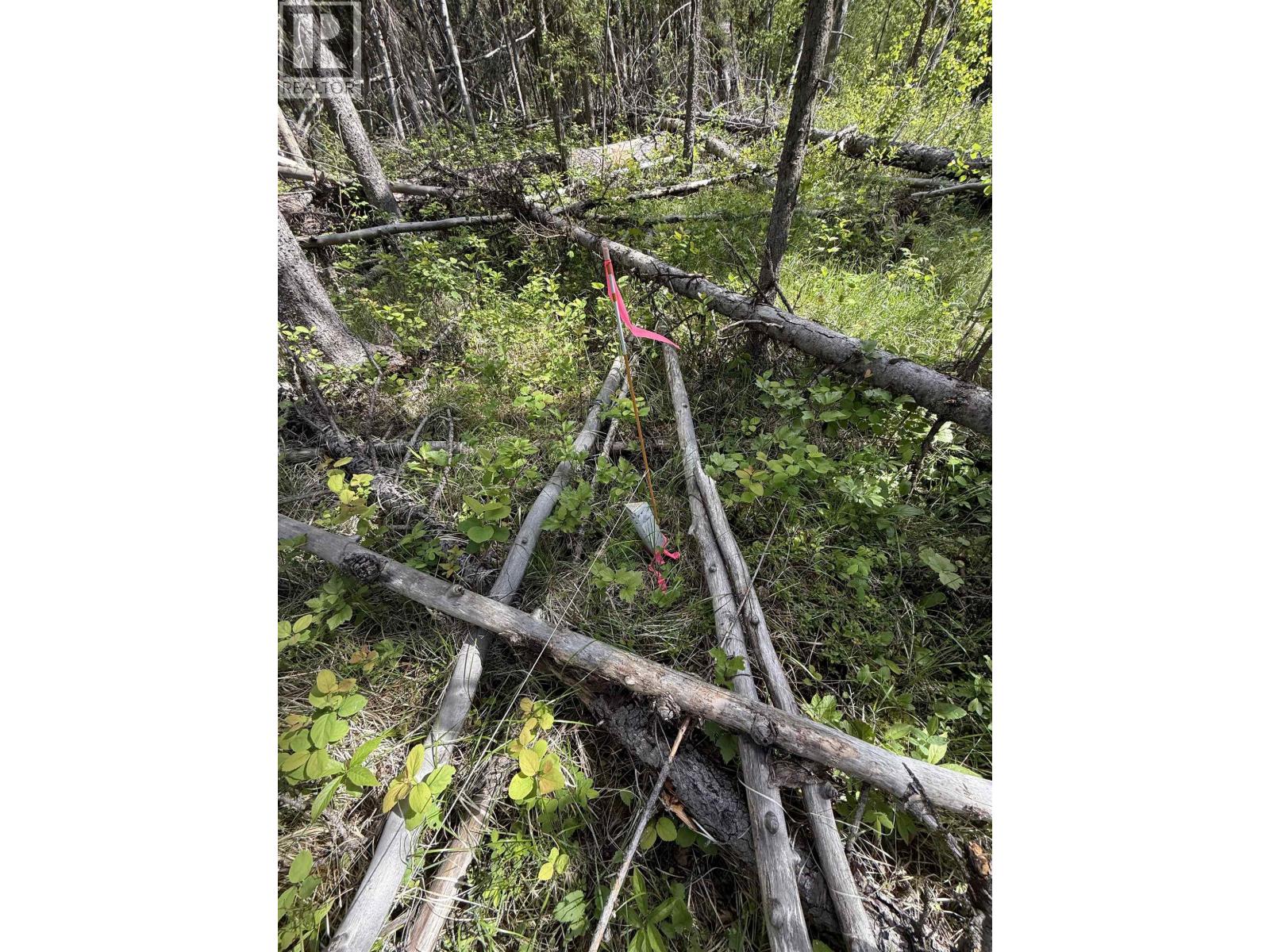 7554 Womack Road Property Photo 17