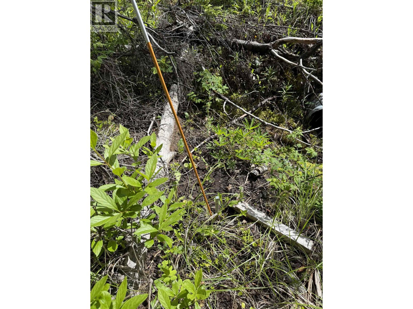 7554 Womack Road Property Photo 18