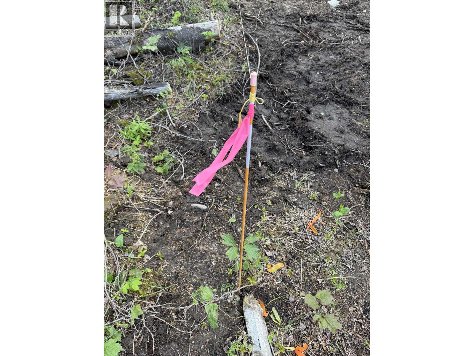 7554 Womack Road Property Photo 19