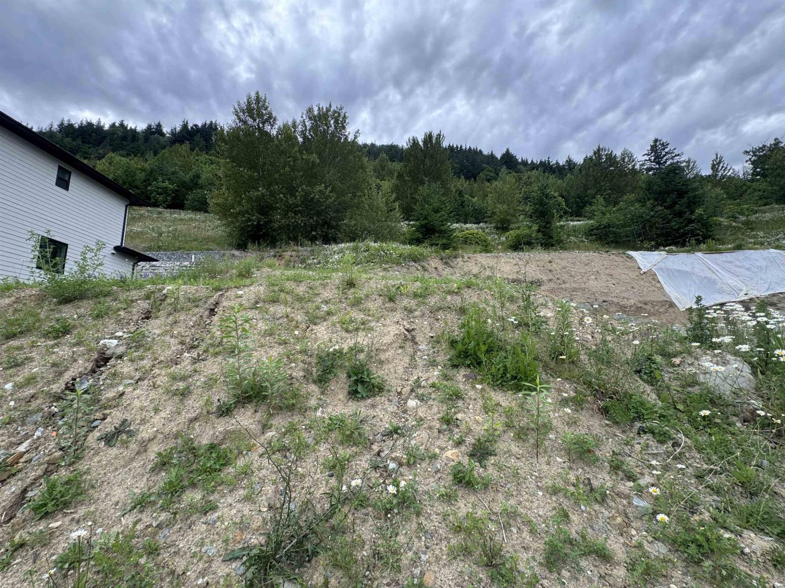 36473 Estevan Court Property Photo 6