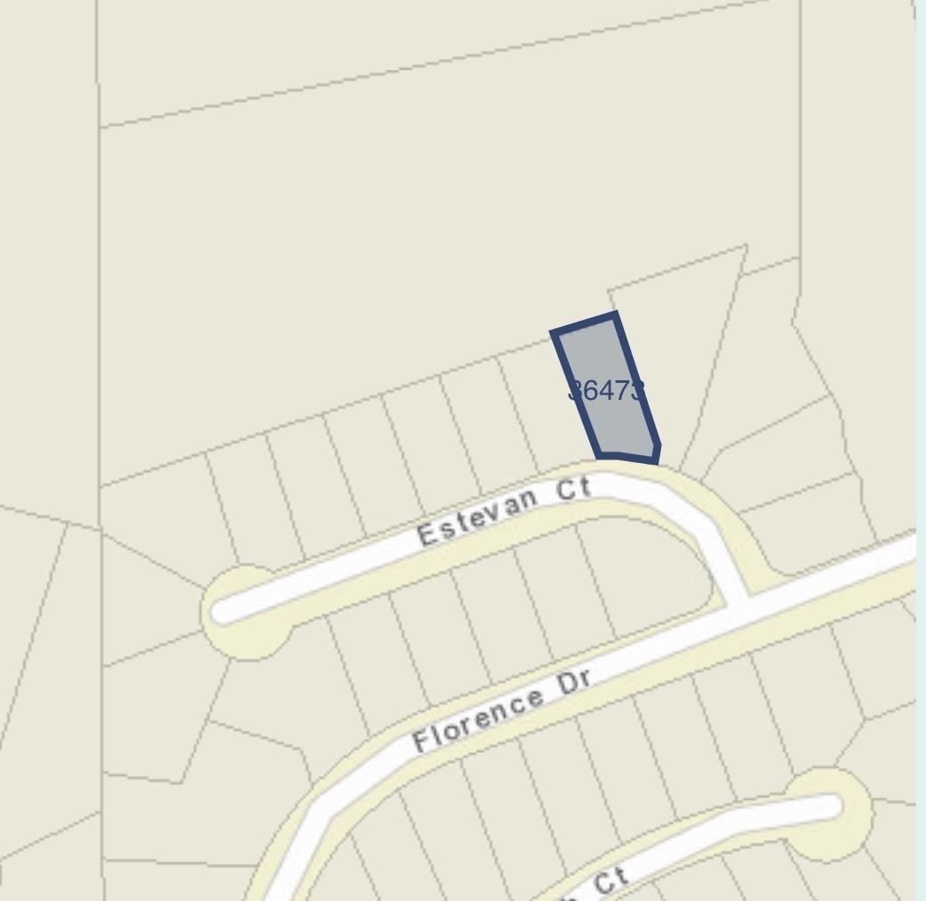 36473 Estevan Court Property Photo 10