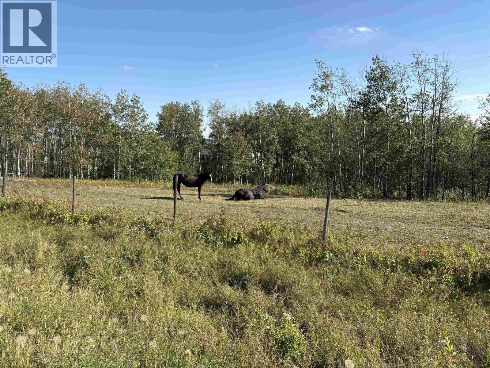12583 267 Road Property Photo 39