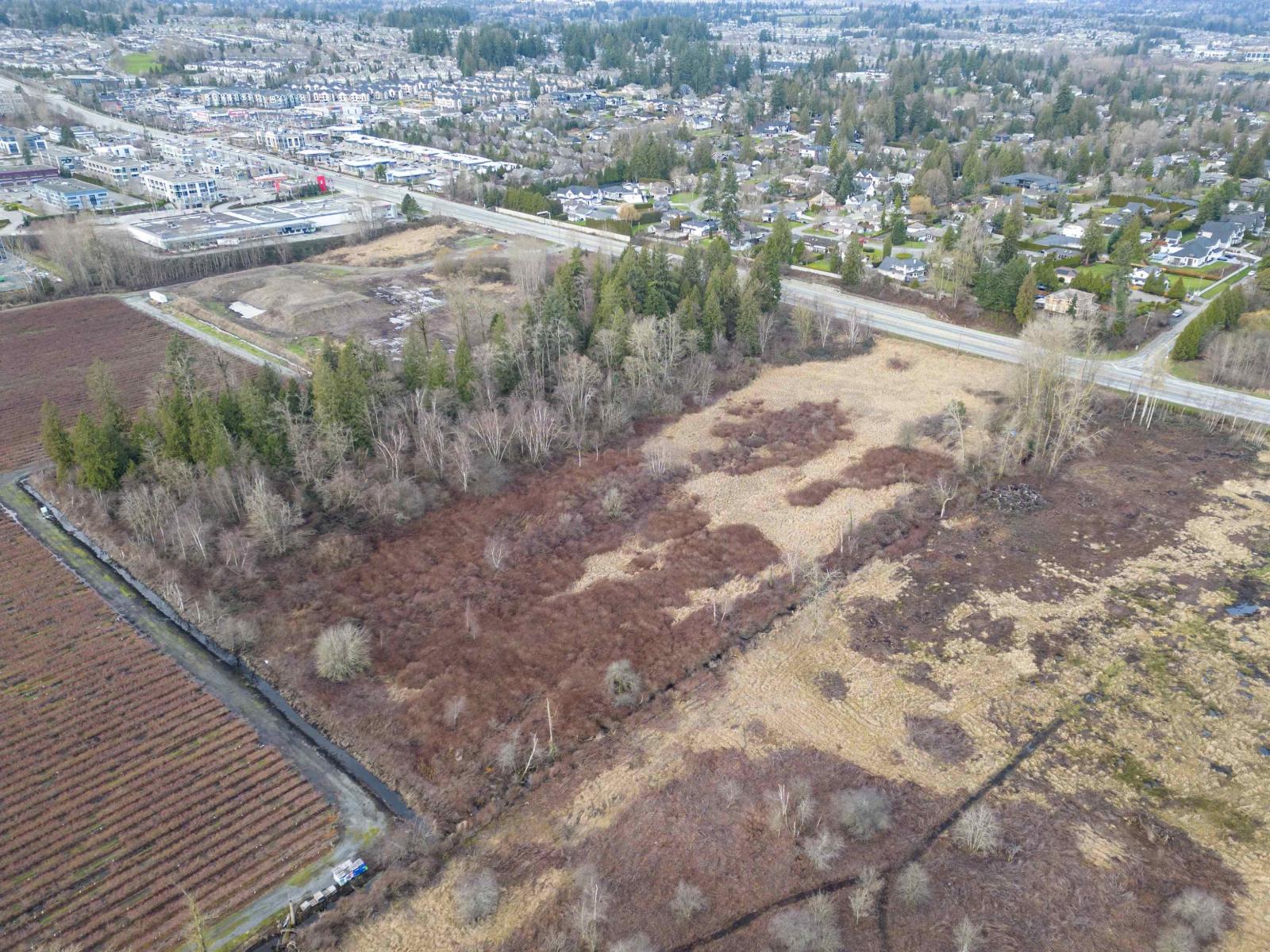 15590 56 Avenue Property Photo 4