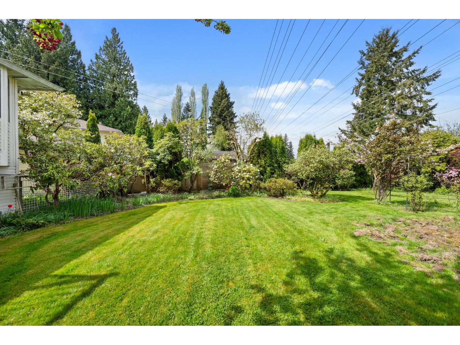 9507 204b Street Property Photo 33