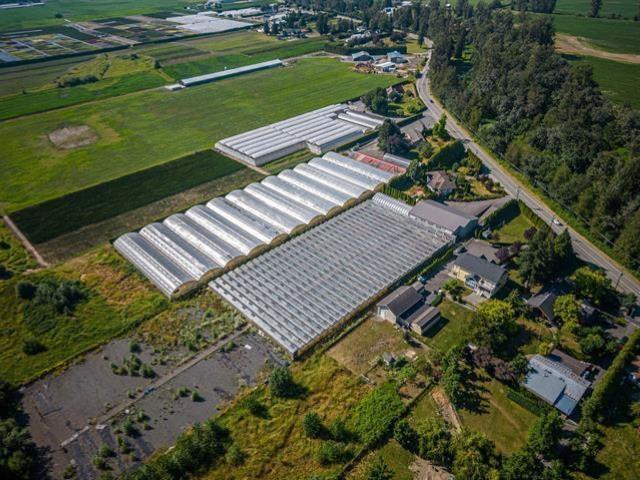 50284 Yale Road Property Photo 6