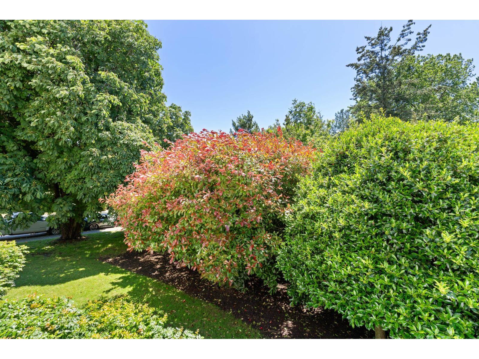 111 1341 George Street Property Photo 22