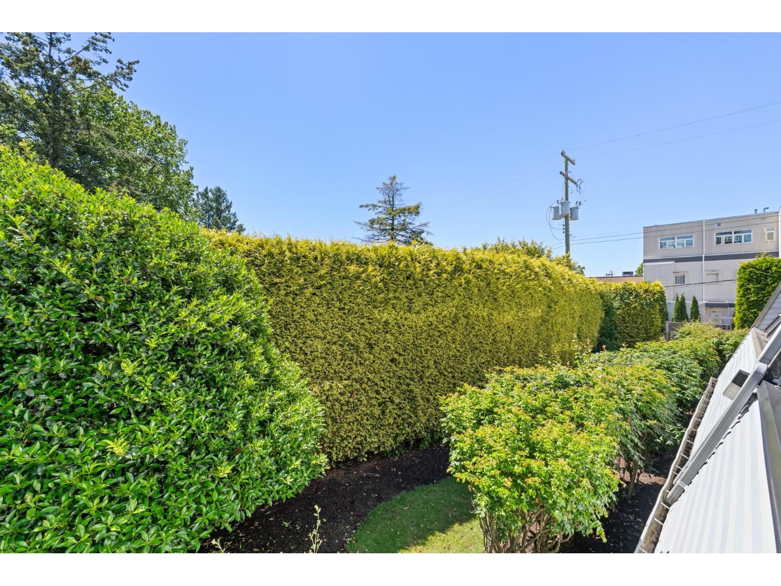 111 1341 George Street Property Photo 23