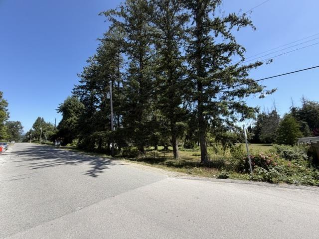 7272 149a Street Property Photo 19