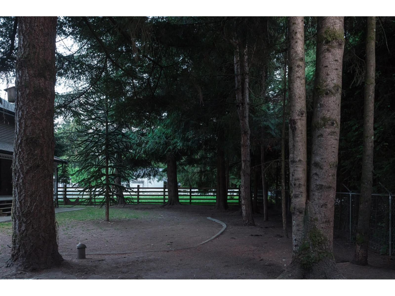 4994 240 Street Property Photo 13