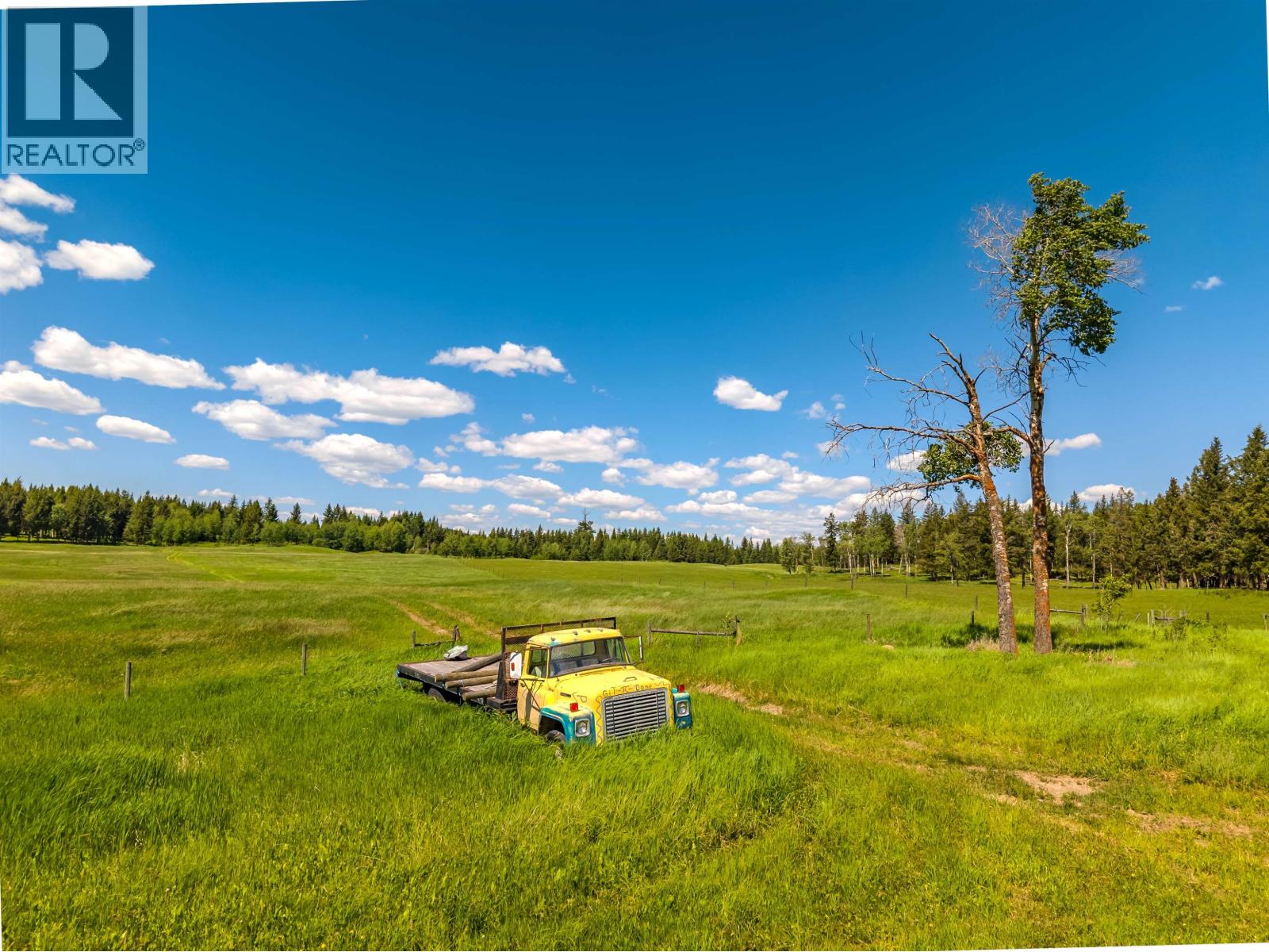 6442 Buffalo Creek Road Property Photo 8