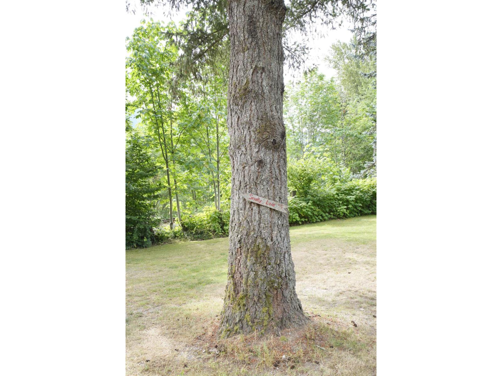 30860 Trans Canada Highway #2 Property Photo 25