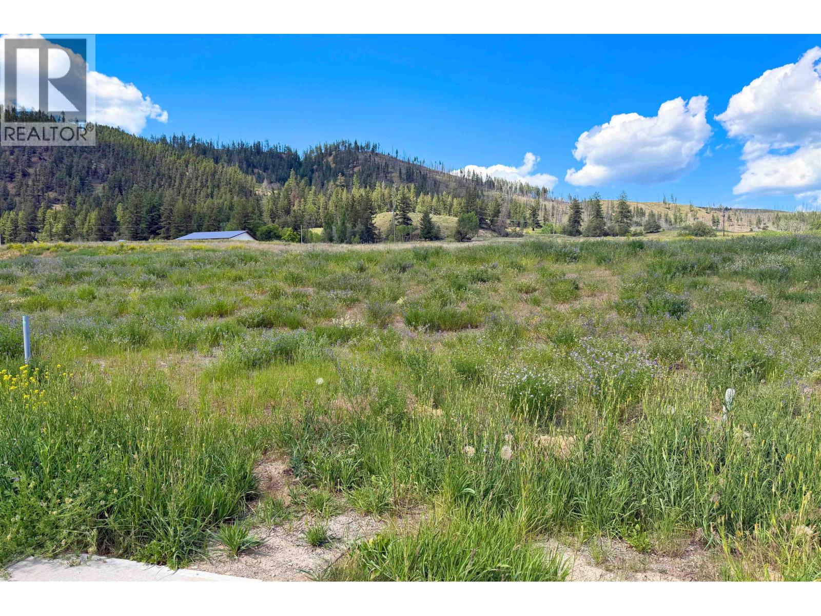 LOT 165 2528 GOPHER DRIVE Property Photo 1