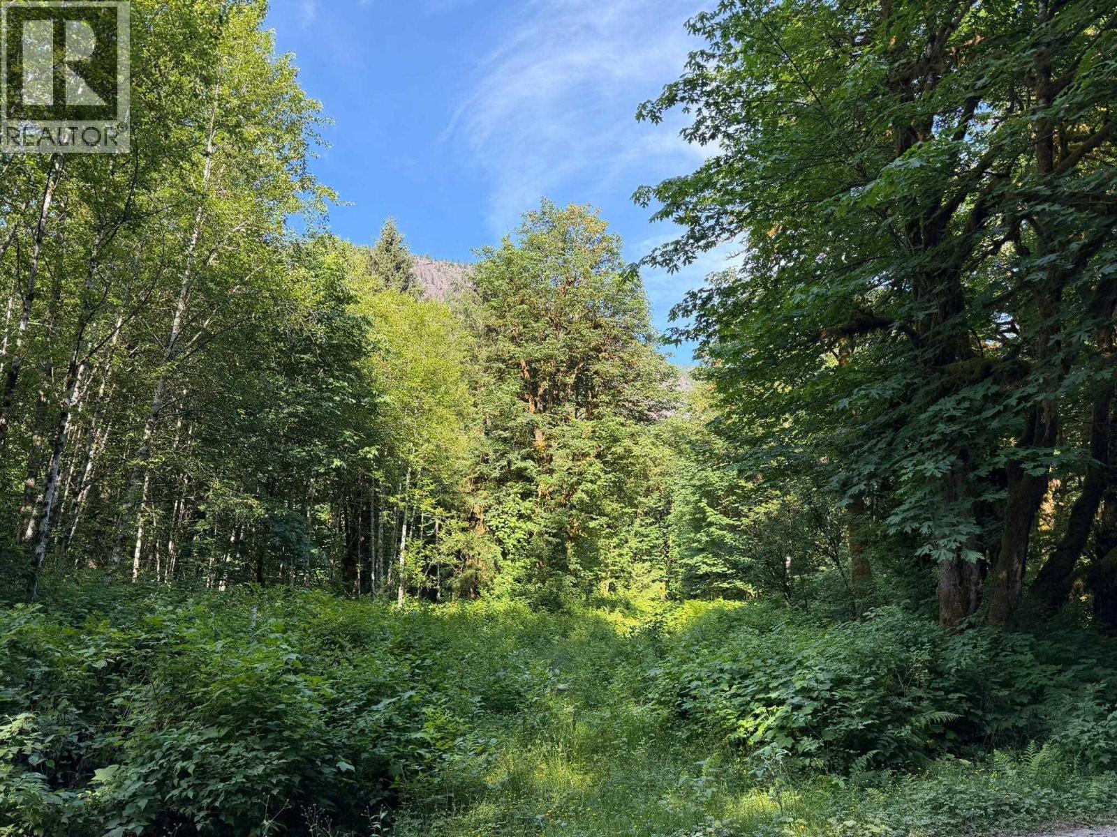 5 Upper Pitt River Road Property Photo 2
