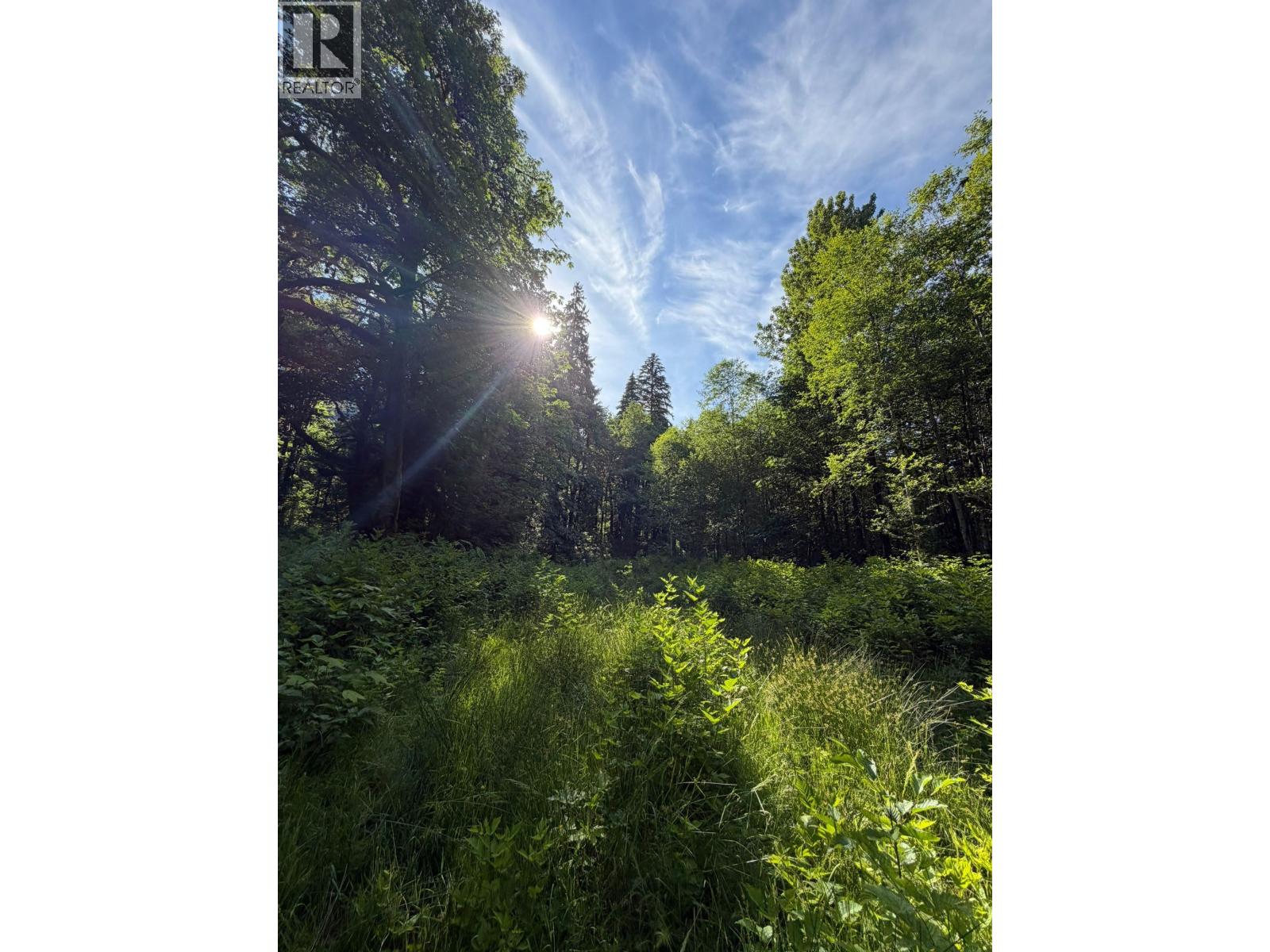 5 Upper Pitt River Road Property Photo 3