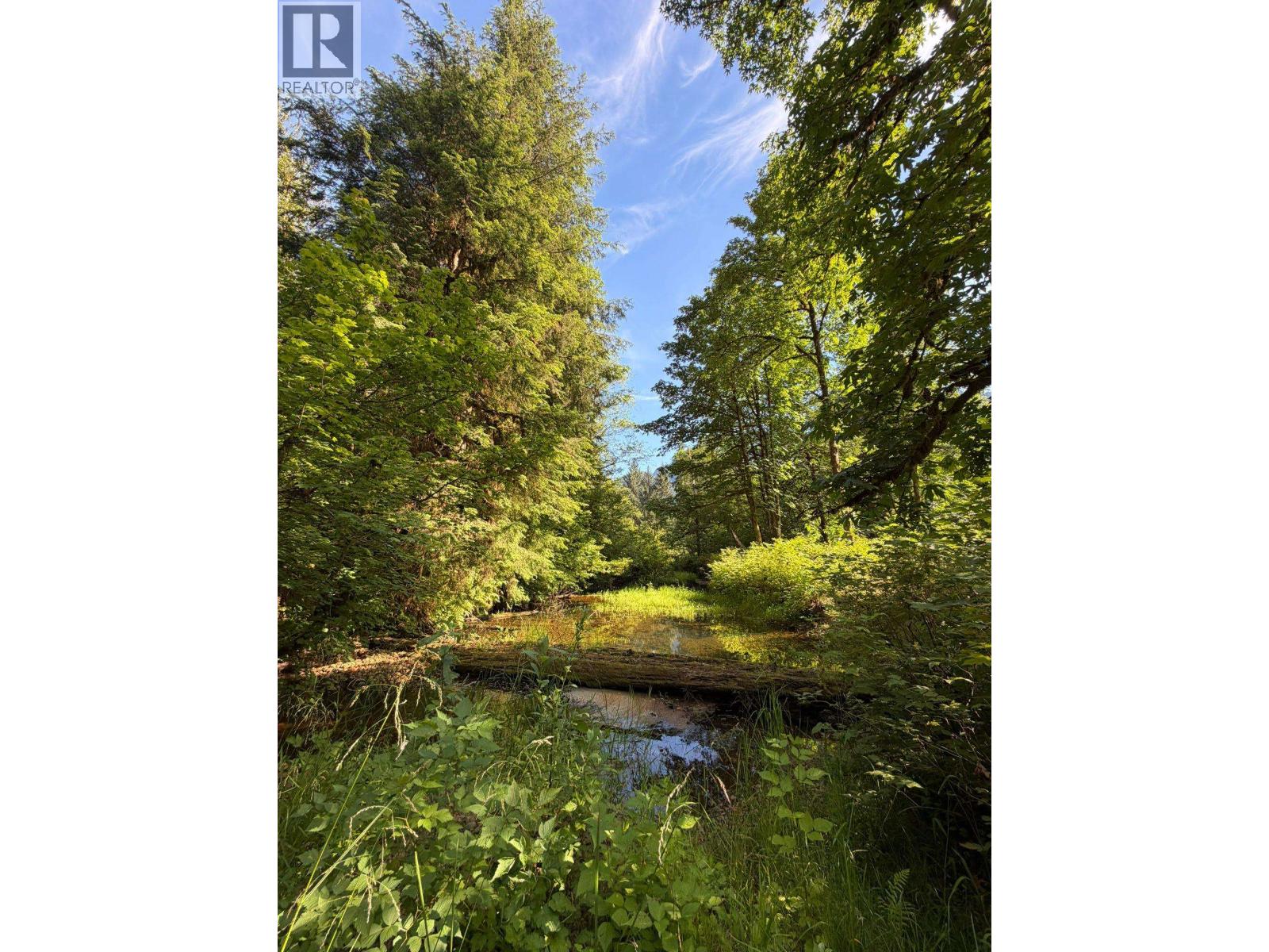 5 Upper Pitt River Road Property Photo 8