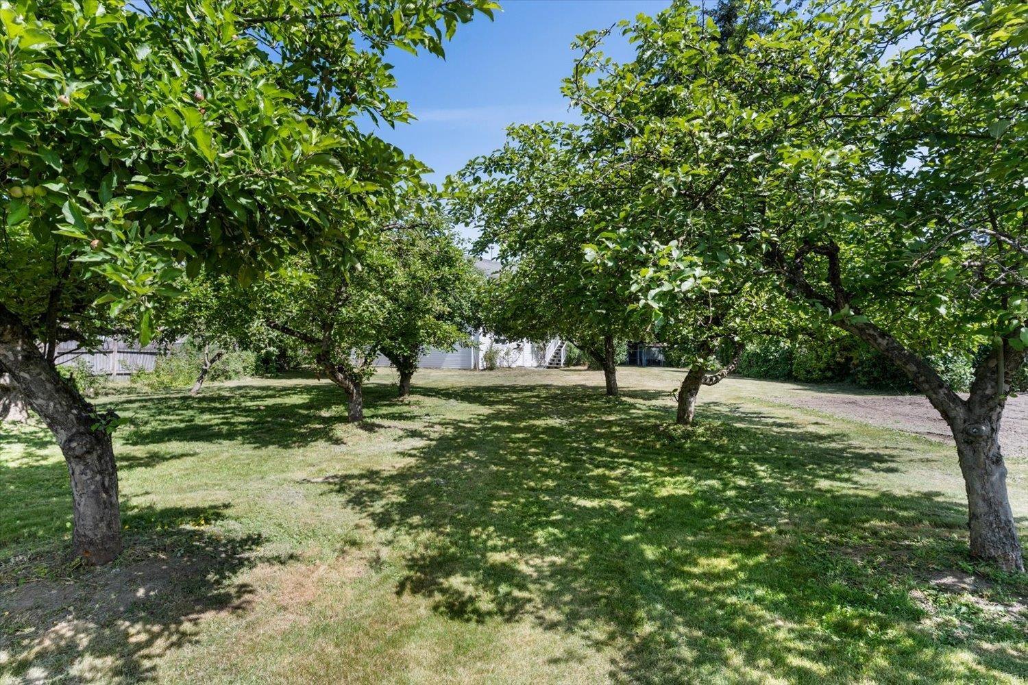 45322 Balmoral Avenue Property Photo 34
