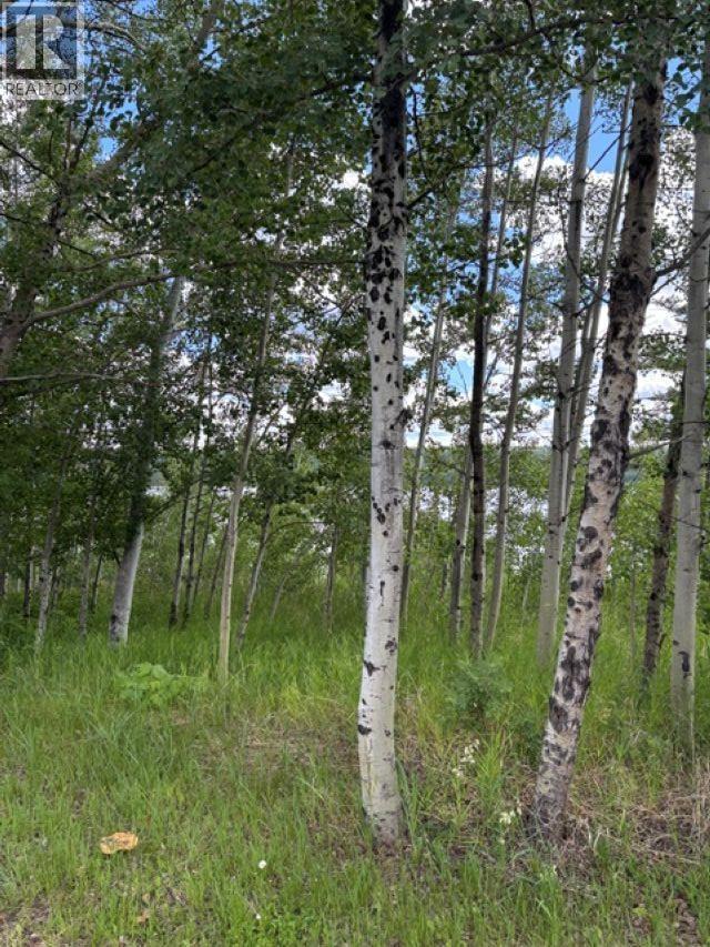 Lot 16 Trout Drive Property Photo 4