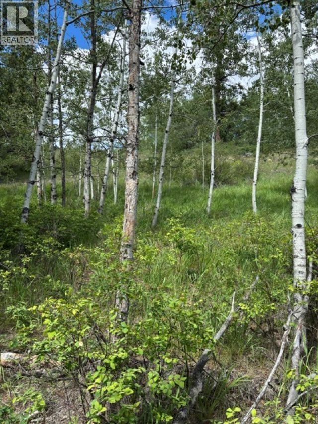 Lot 16 Trout Drive Property Photo 12
