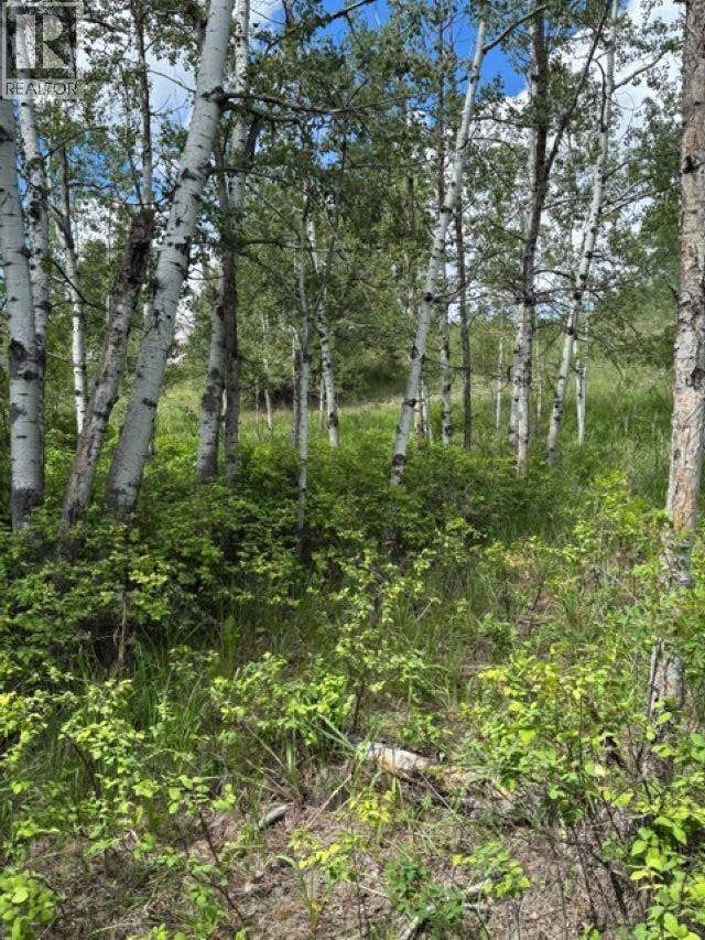 Lot 16 Trout Drive Property Photo 13