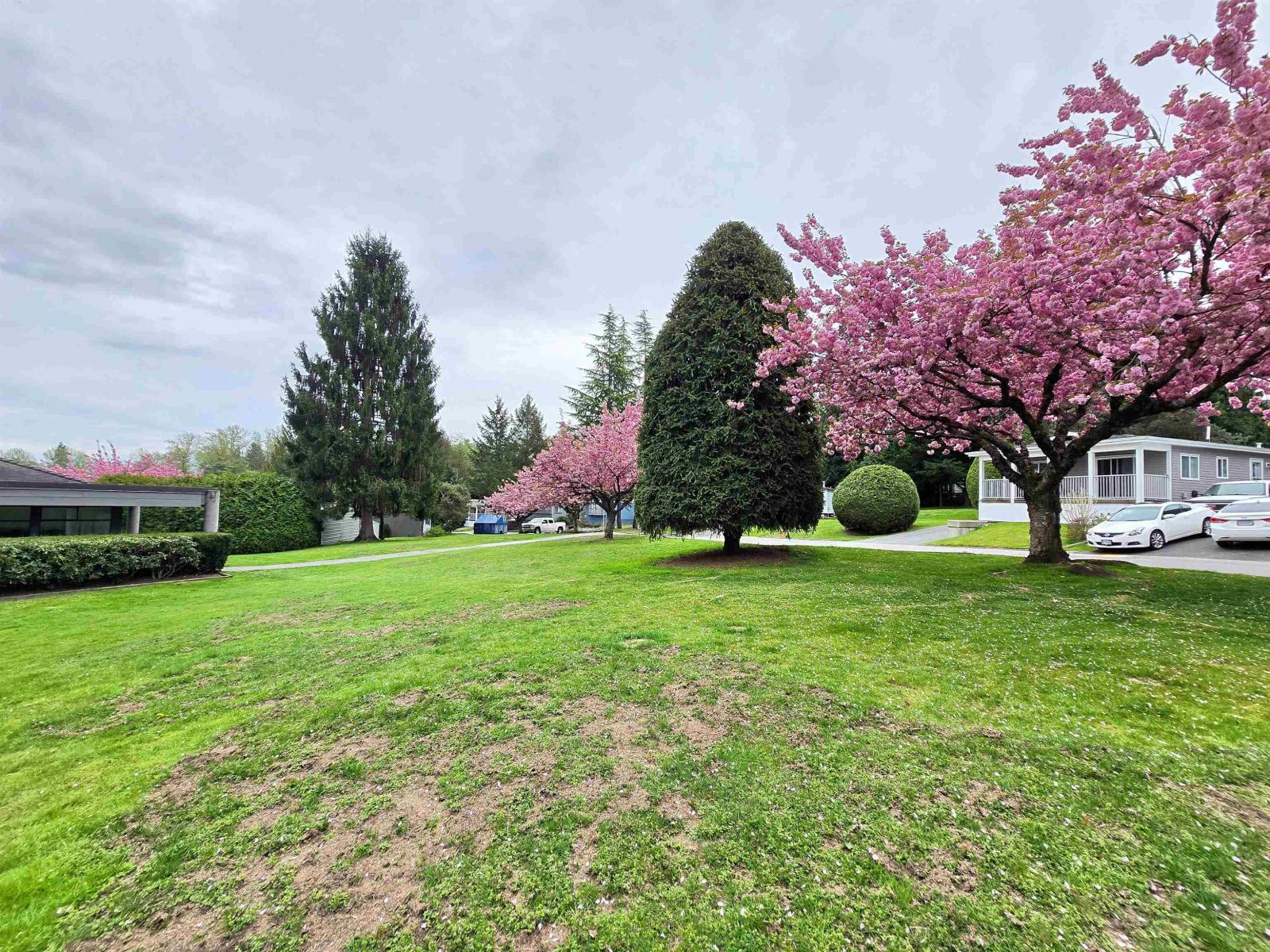 56 8220 King George Boulevard Property Photo 27