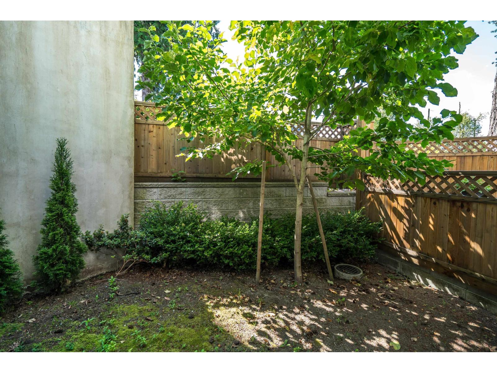 19 9762 182a Street Property Photo 39